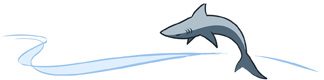 shark